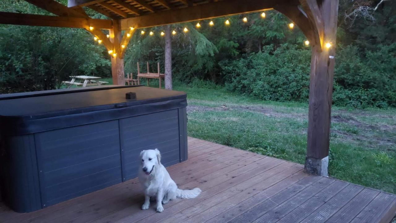 La Rossignolerie - La Familiale Vigneronne Bed & Breakfast Chouzy-sur-Cisse Ngoại thất bức ảnh