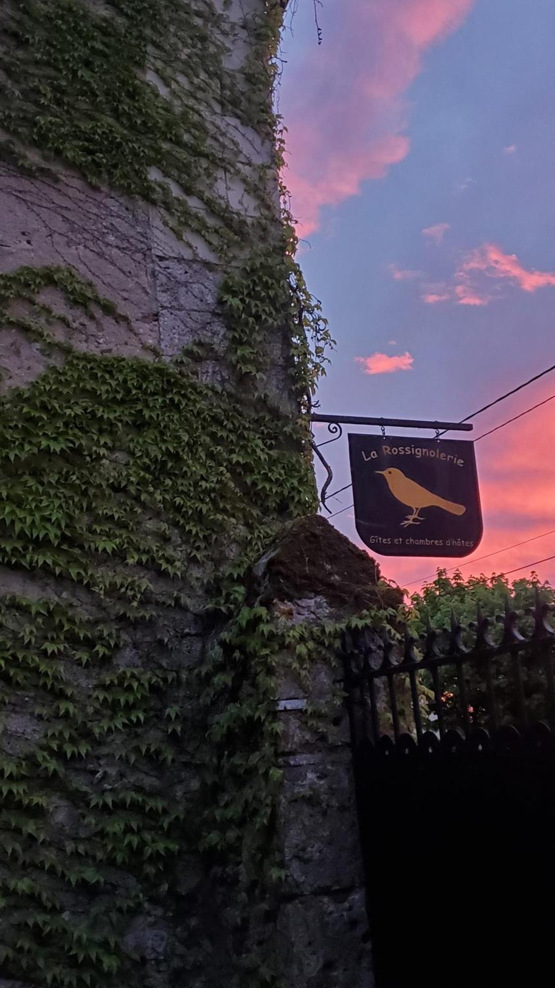 La Rossignolerie - La Familiale Vigneronne Bed & Breakfast Chouzy-sur-Cisse Ngoại thất bức ảnh